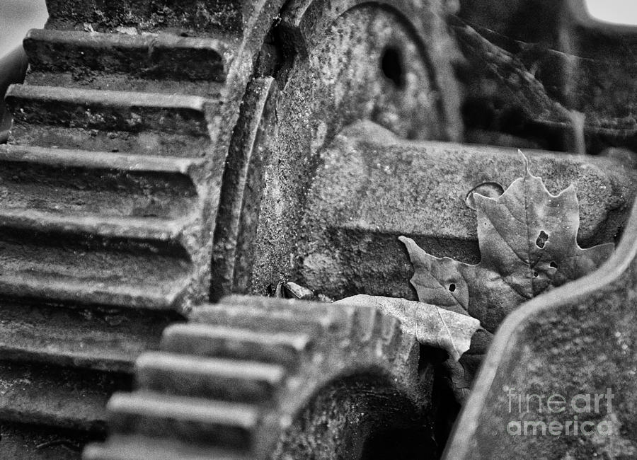 Black And White Photograph - Caught In The Machine by Brian Mollenkopf