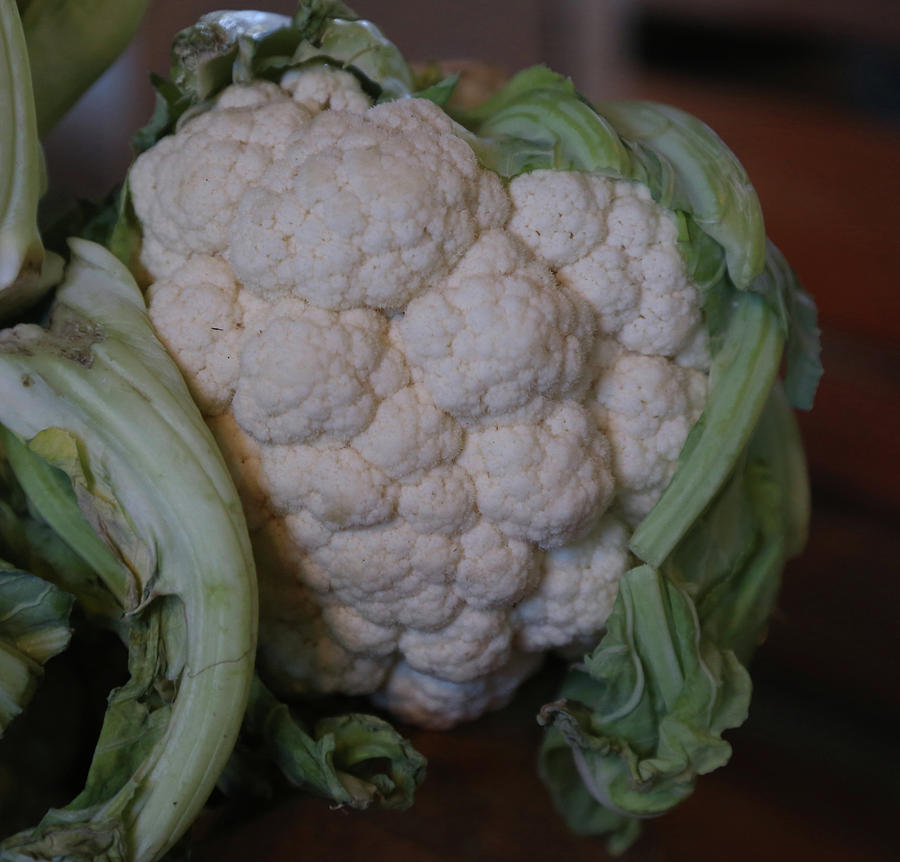 Cauliflower Painting by Imagery-at- Work