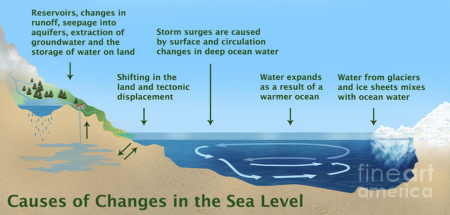 Causes Of Changes In Sea Level Photograph by Gwen Shockey