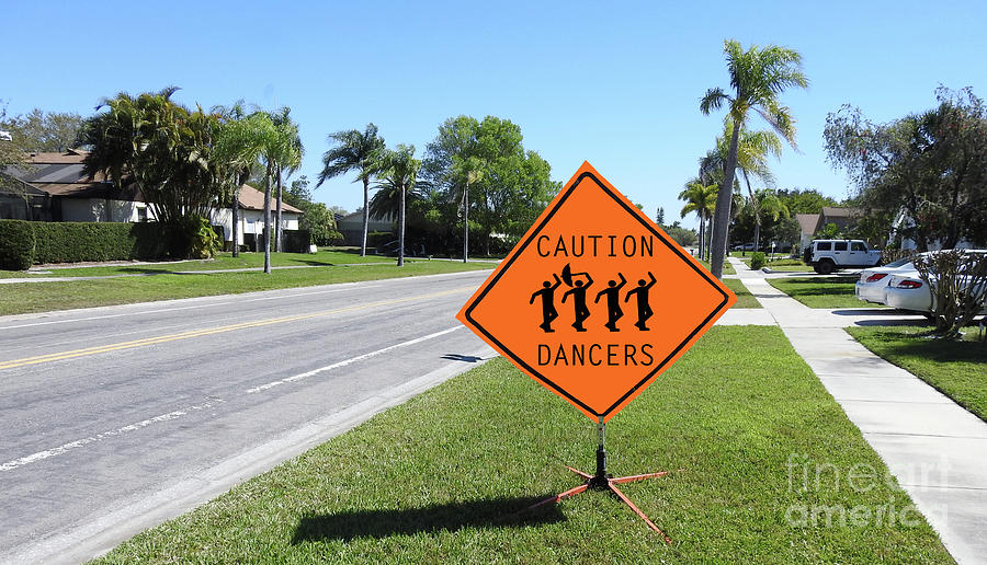 Caution Dancers Photograph by Larry Mulvehill