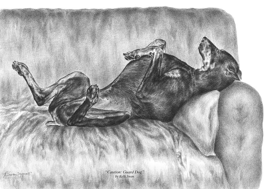 Caution Guard Dog - Doberman Pinscher Art Print Drawing by Kelli Swan