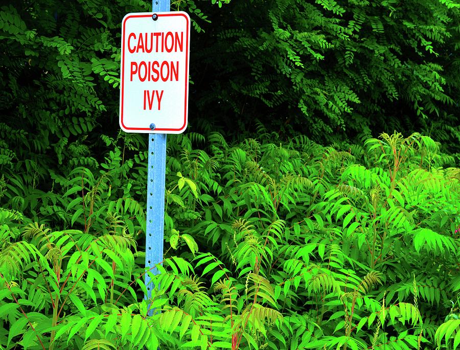 Caution Poison Ivy Photograph by Lyle Crump