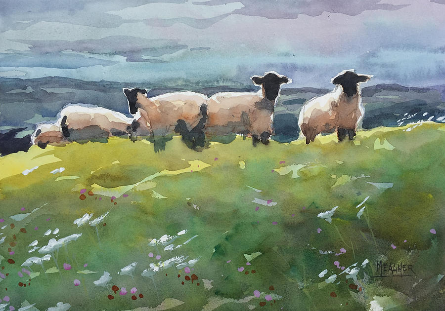 Sheep Painting - Cautious by Spencer Meagher