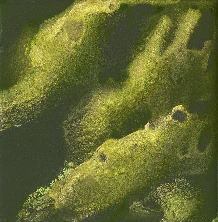 Cava Green Seaweed Painting by Pat Saunders-White