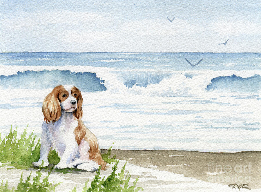 Beach Painting - Cavalier King Charles Spaniel at the Beach by David Rogers