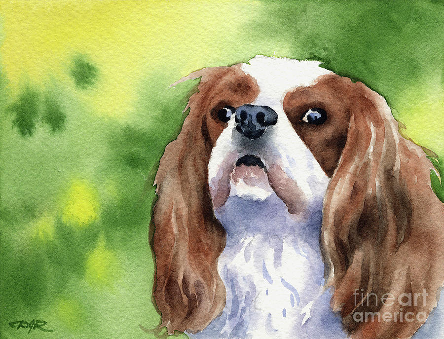 Dog Painting - Cavalier King Charles Spaniel by David Rogers