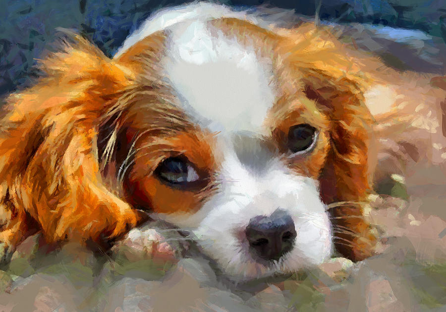 Cavalier King Charles Spaniel Painting by Doggy Lips