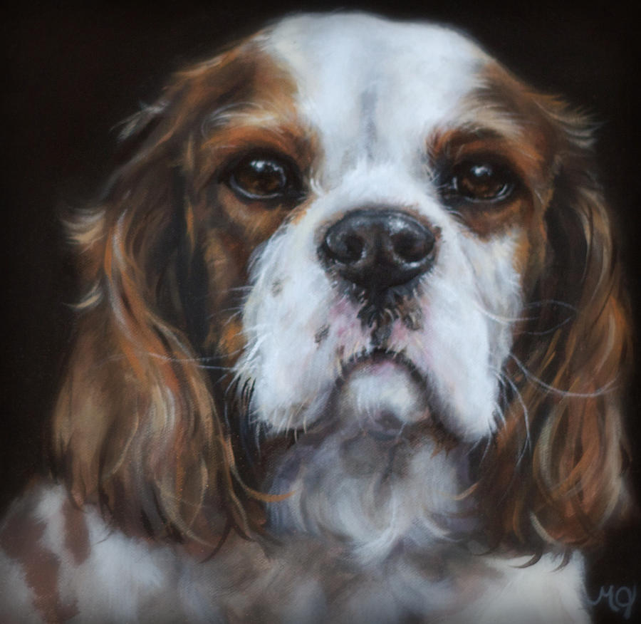 Cavalier King Charles Spaniel Painting By Matt Johnson - Fine Art America