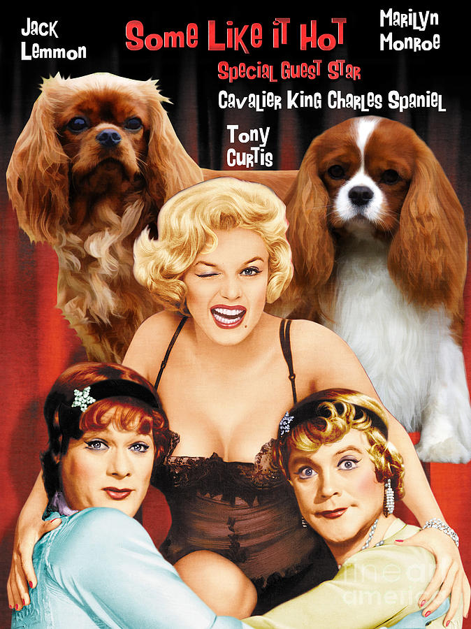 Cavalier King Charles Spaniel - Some Like It Hot Movie Poster Painting by Sandra Sij