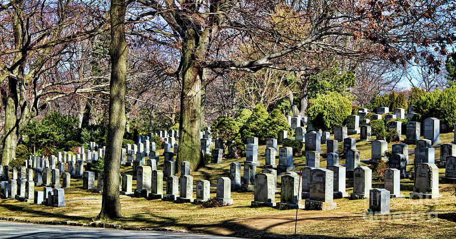 Cavalry Cemetery Queens Photograph by Chuck Kuhn - Pixels