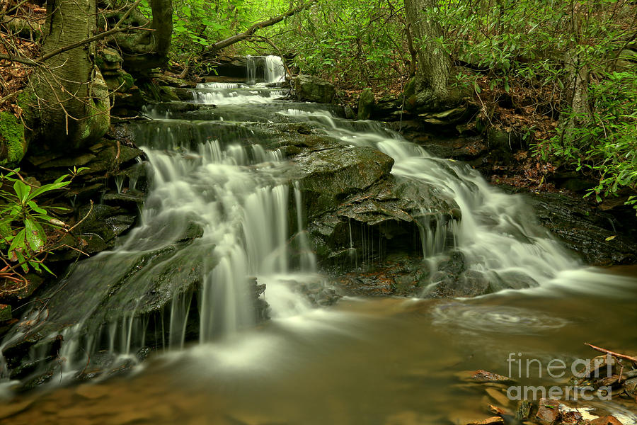 Cave Falls At Cole Run Photograph by Adam Jewell