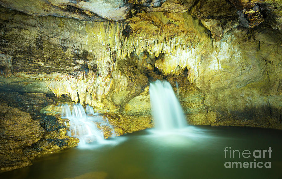 Bat Photograph - Cave of Misol Ha Waterfall Chiapas by THP Creative