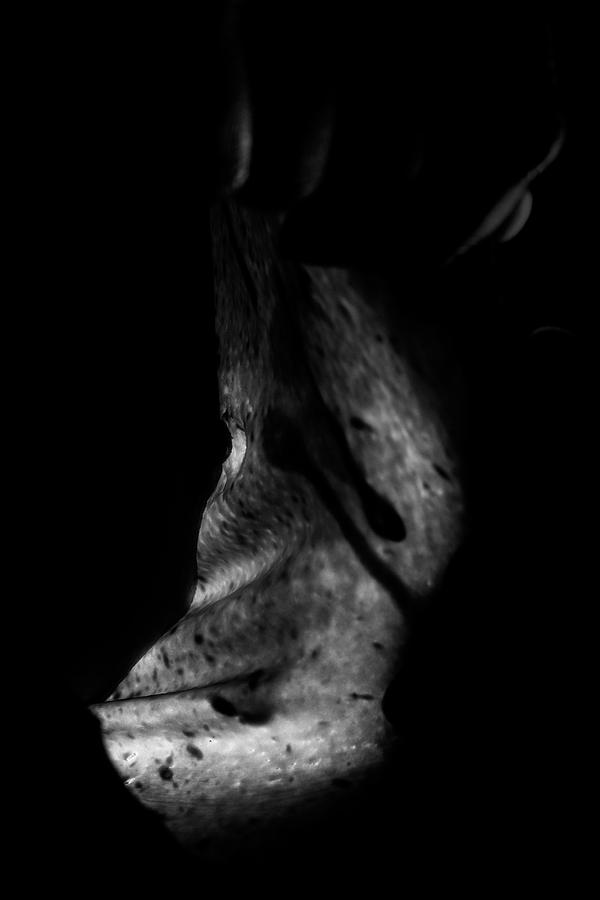 Nude Photograph - Cave Of Seduction by Pavel Jelinek Nude Photograph - Cave Of Seduction by Pavel Jelinek