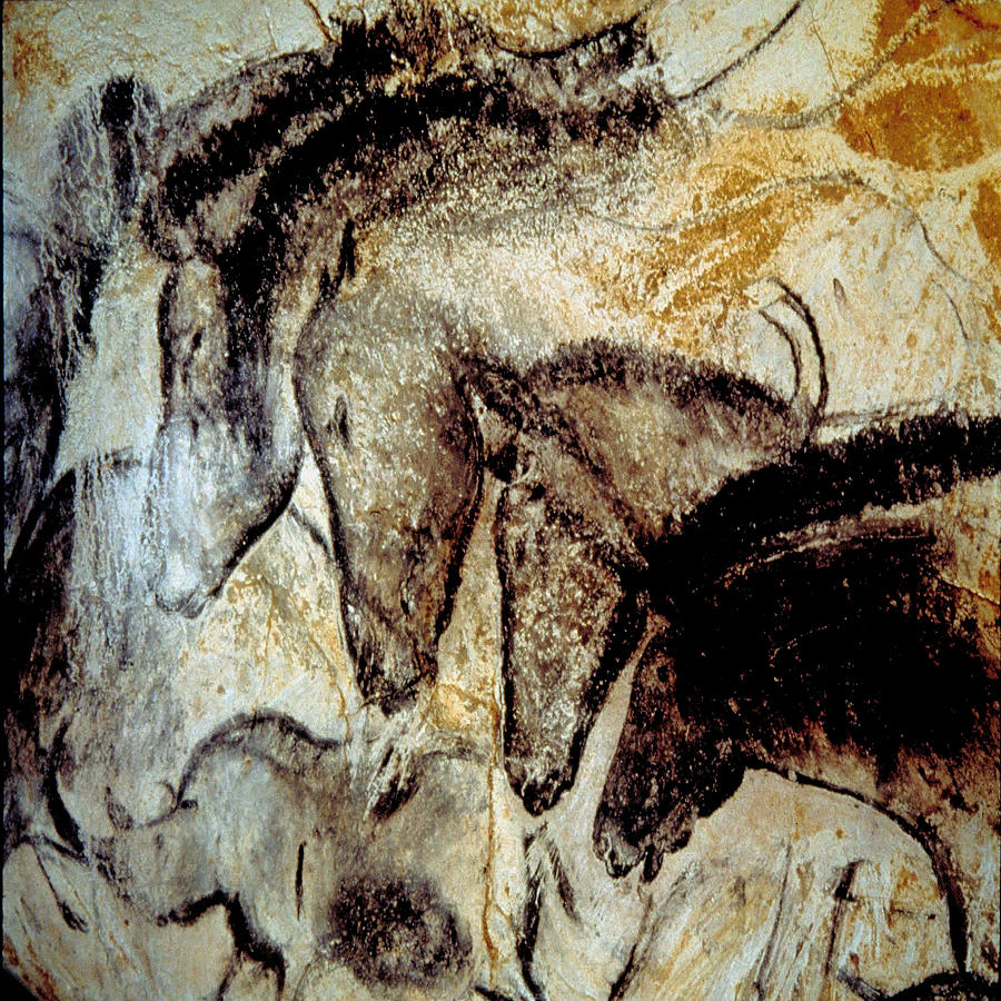 Cave Painting 4 Photograph