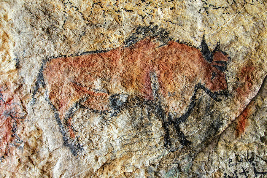Cave painting in prehistoric style Photograph by Michal Boubin