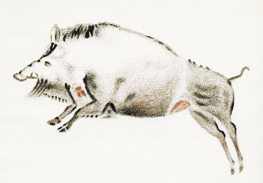 Prehistoric Photograph - Cave Painting Of A Boar, Artwork by Sheila Terry