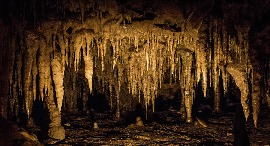 Cave Teeth by Tyson Kinnison Cave Teeth by Tyson Kinnison