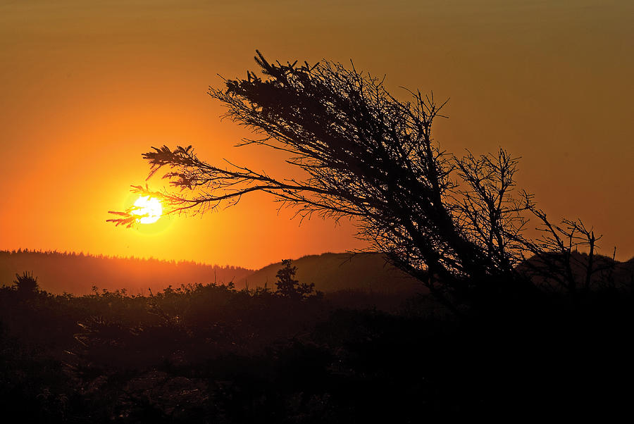 Cavendish Beach Sunset-2 Photograph by Steve Somerville