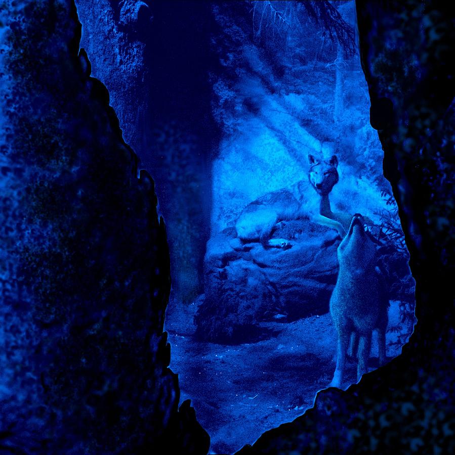 Cavern Digital Art by Danielle R T Haney