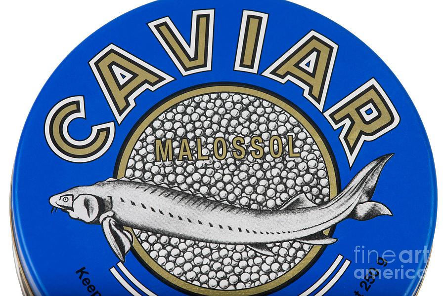 Caviar Packaging Photograph by Gerard Lacz