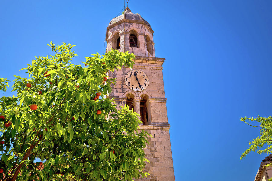 Cavtat church tower and tangerine tree view Photograph by Brch Photography
