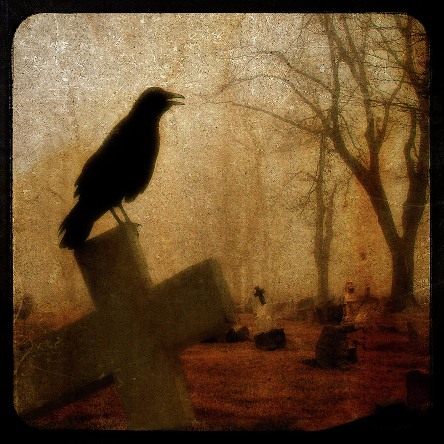 Cawing Night Crow Photograph by Gothicrow Images - Fine Art America