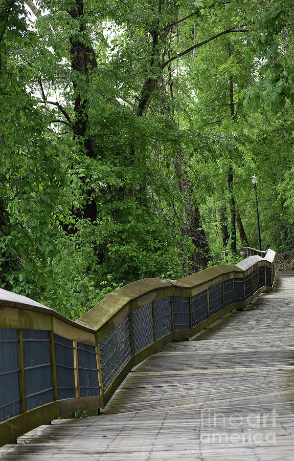 Cayce River Walk Rebuilt.  Photograph by Skip Willits