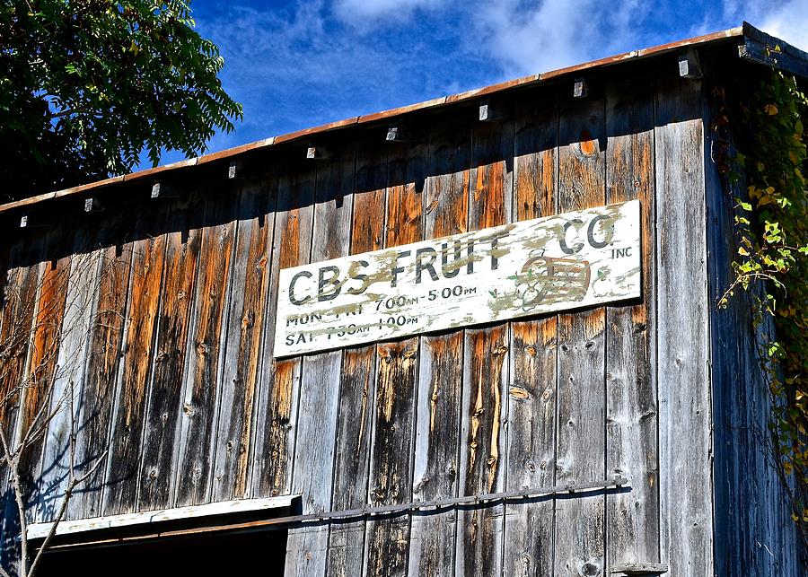 CBS Fruit Co. Photograph by Tana Reiff