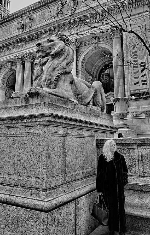 Lions of NYC Photograph by Robert Meyers-Lussier
