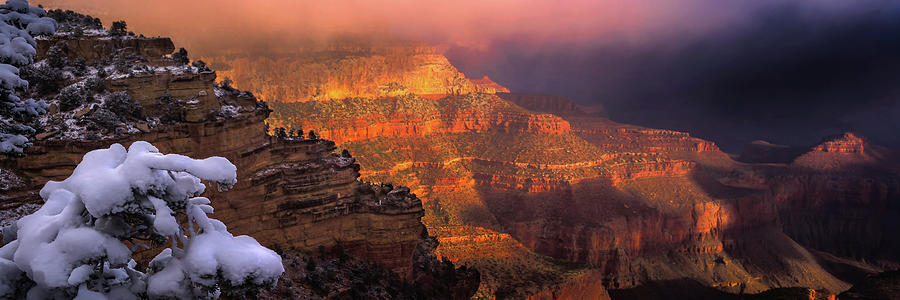 Canyon Dawn Photograph by Mikes Nature