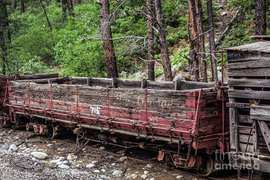 Deserted Freight Wagon Photograph by Lynn Sprowl
