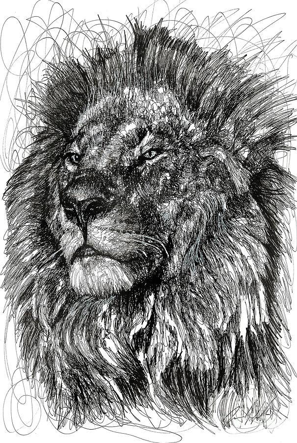 Animal Drawing - Cecil The Lion by Michael Volpicelli