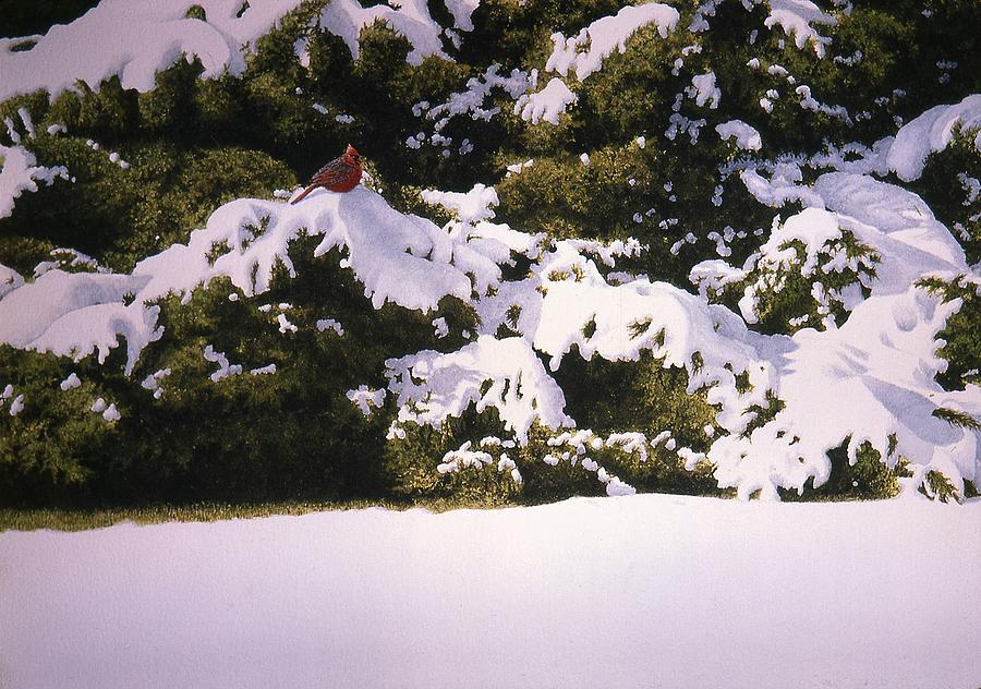 Cedar and Snow Painting by Conrad Mieschke