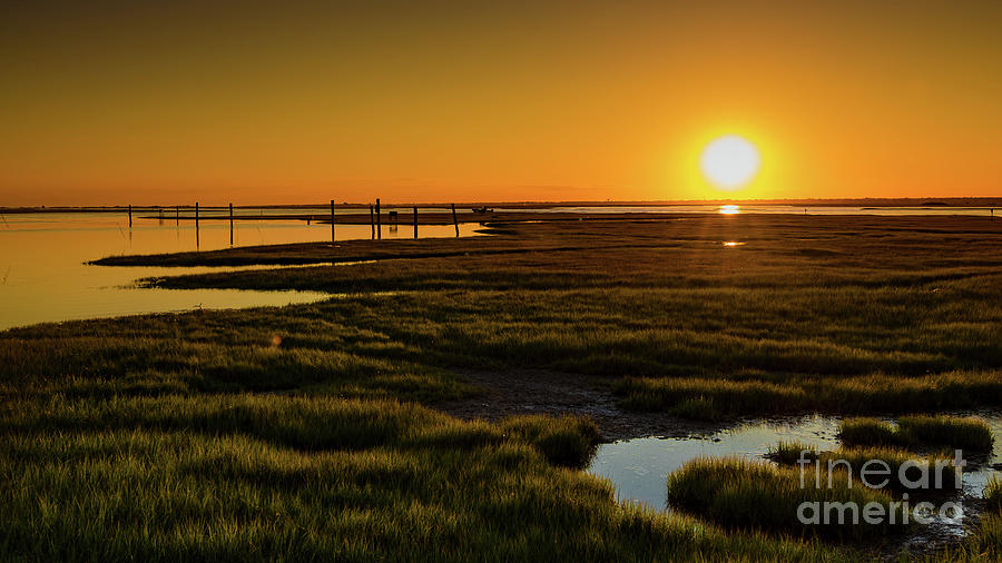 Cedar Beach Golden Sunset Photograph by Alissa Beth Photography