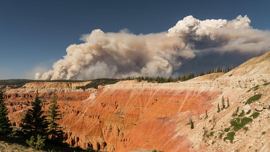 Cedar Breaks National Monument Wildfire Ridge Photograph by Lawrence S Richardson Jr