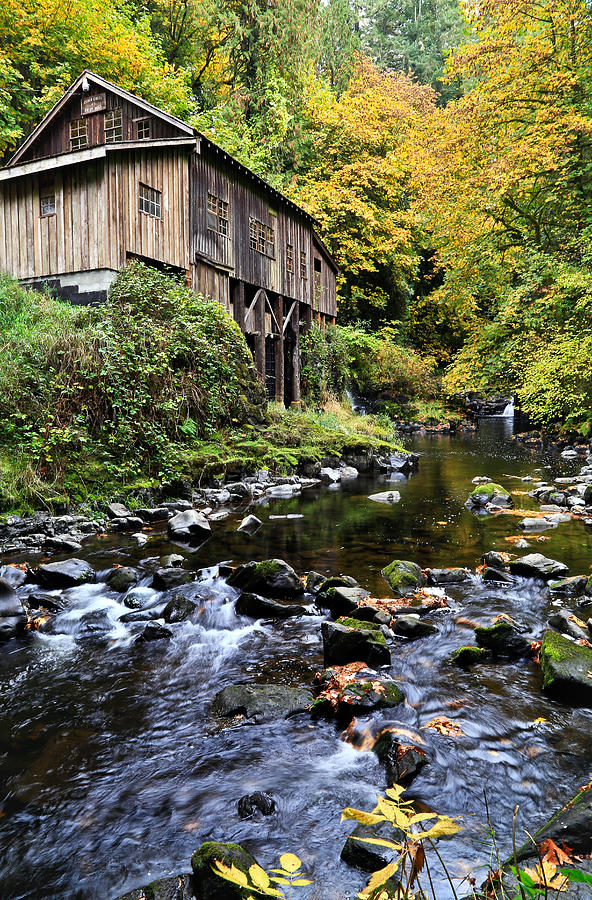 Cedar Creek Grist Mill Photograph by Athena Mckinzie