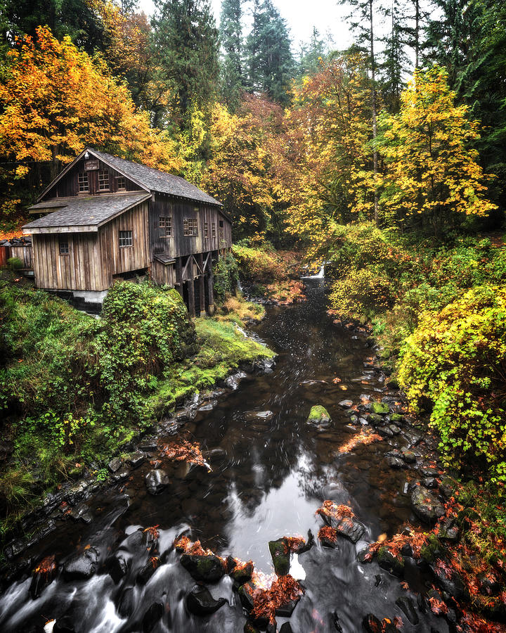 Cedar Creek Grist Mill Color Burst Photograph by Wes and Dotty Weber