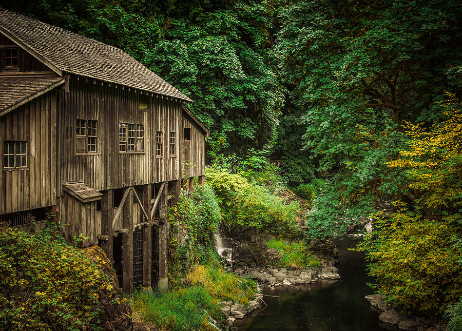 Cedar Creek Grist Mill Photograph by Don Schwartz