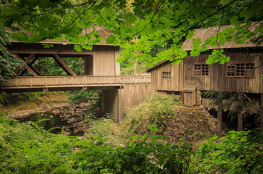 Cedar Creek Mill and Covered Bridge Photograph by Don Schwartz