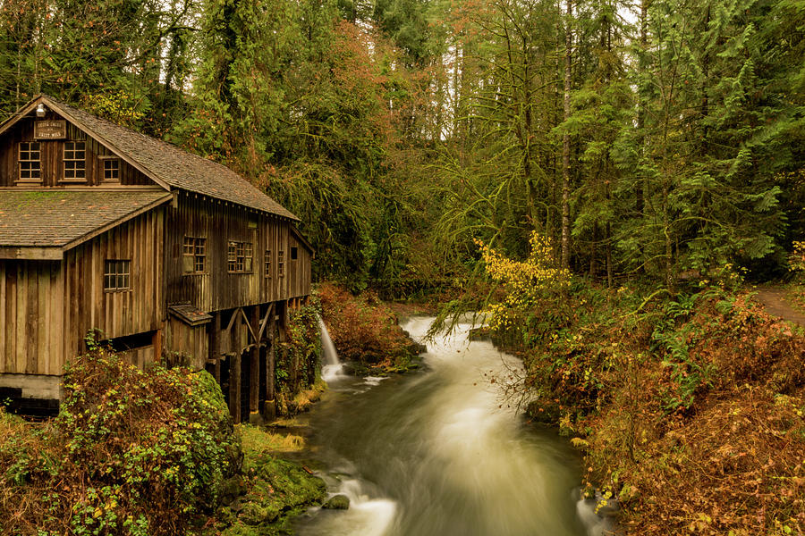 Cedar Grist Mill Photograph by Joel Buhs