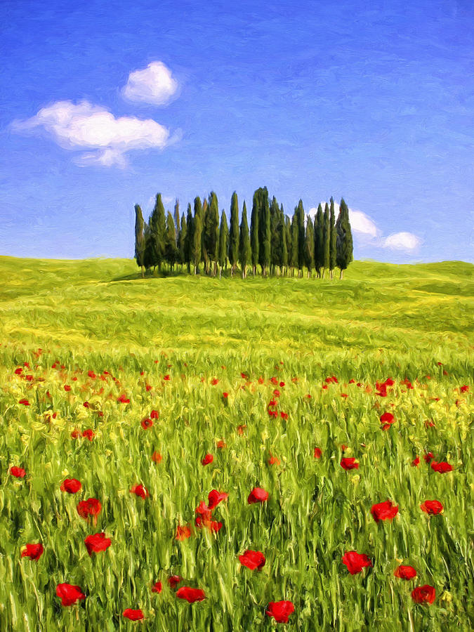 Cedar Grove and Tuscany Poppies Painting by Dominic Piperata