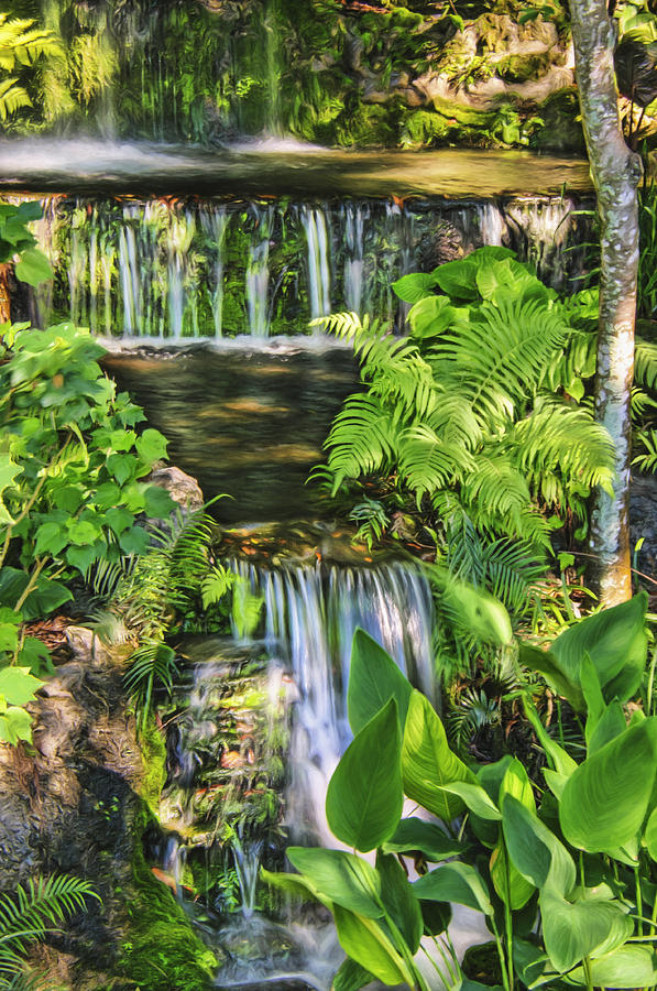 Cedar Lake Waterfalls Photograph By Betty Eich Fine Art America