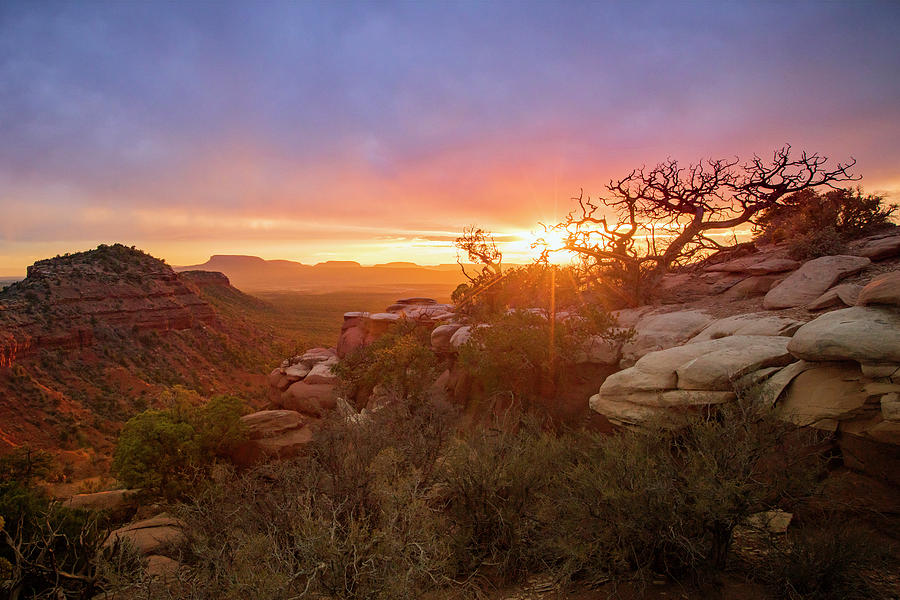 Cedar Mesa Sunset Photograph by Johnny Adolphson
