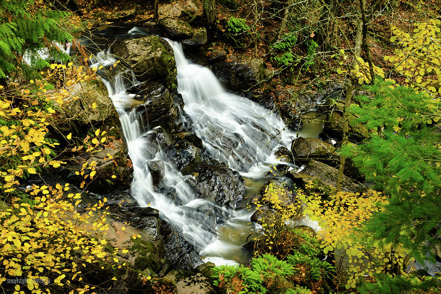Cedar Mills Falls, Oregon, Top View Photograph by Aashish Vaidya