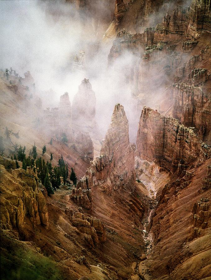 Landscape Photograph - Cedar Mist by Grant Sorenson