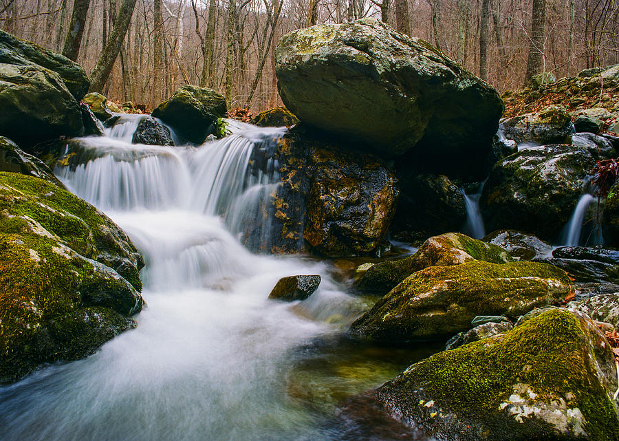 Cedar Run Photograph by Andrew Morgan - Fine Art America