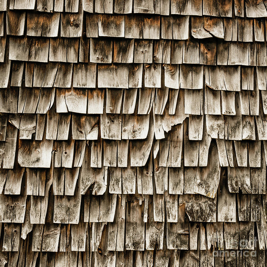 Cedar Shingles Pattern Photograph by Edward Fielding