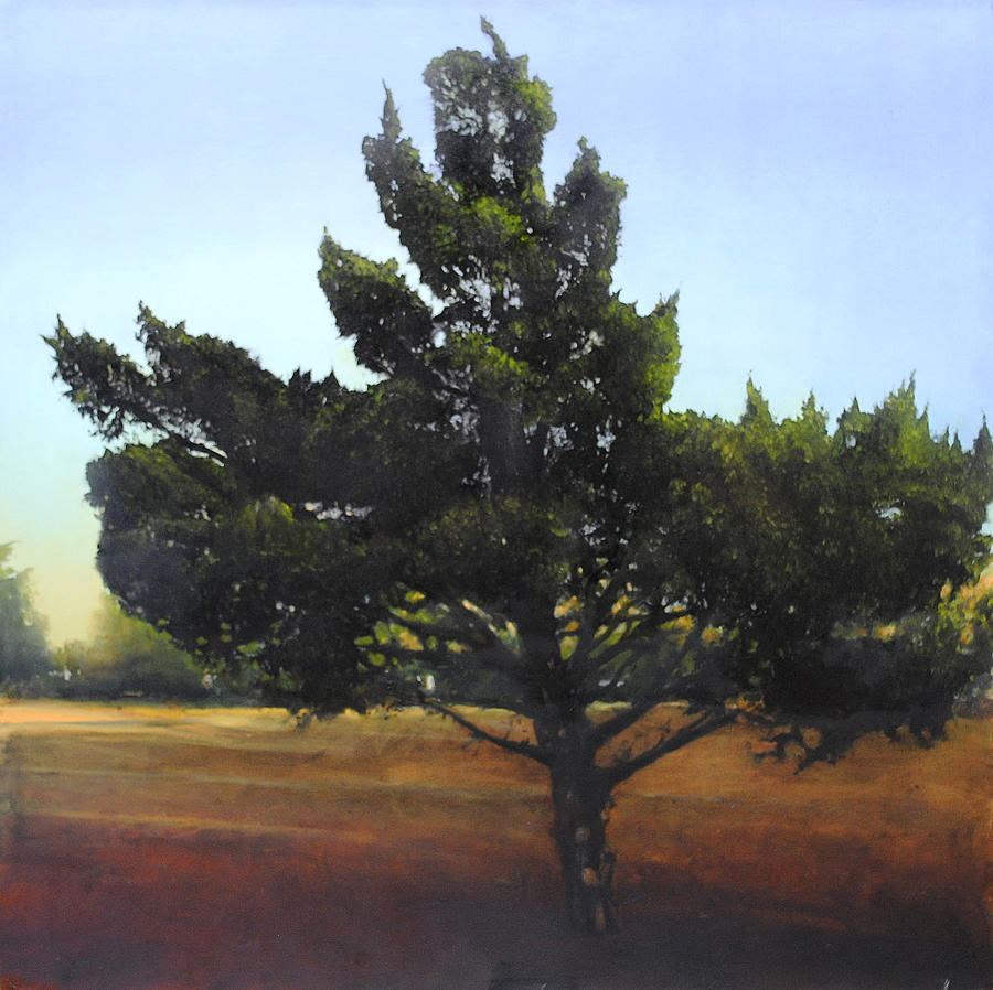 Tree Painting - Cedar SOLD by Cap Pannell