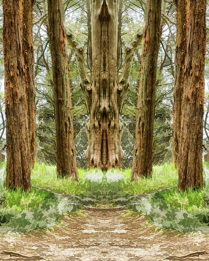 Cedar Tree Image Pareidolia Photograph by Constantine Gregory