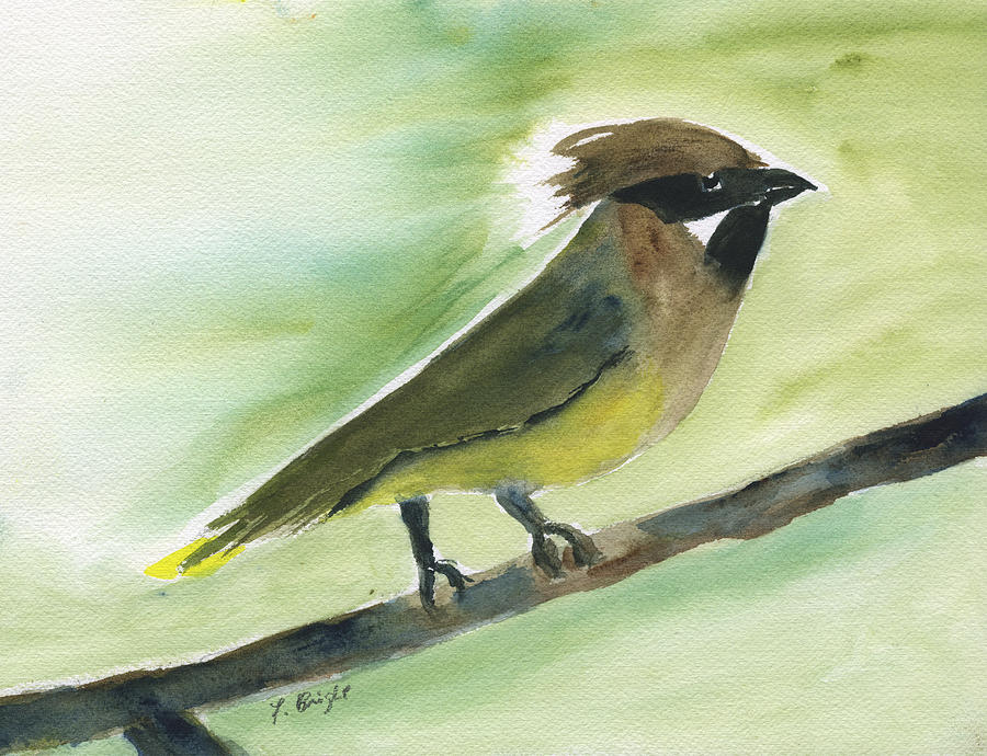 Cedar Waxwing Abstract Painting by Frank Bright